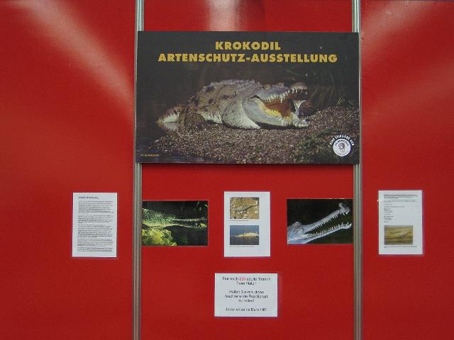 VIVARIUM Krokodil Artenschutz-Ausstellung3.JPG